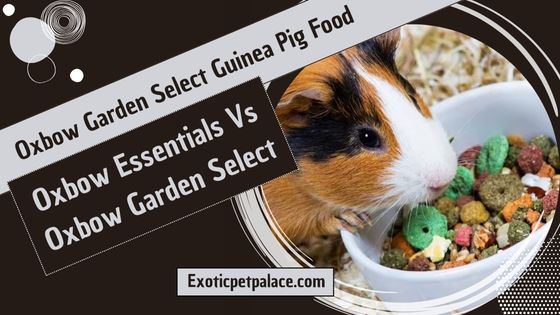 Oxbow Garden Select Guinea Pig Food