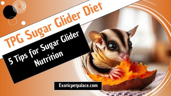 TPG Sugar Glider Diet